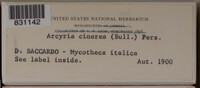 Image Associated With the Occurence
